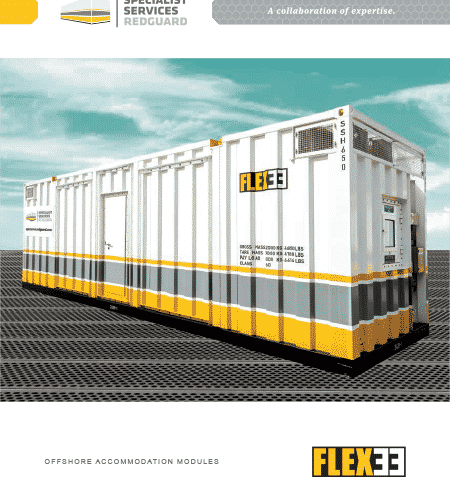 Flex 33 Sheet